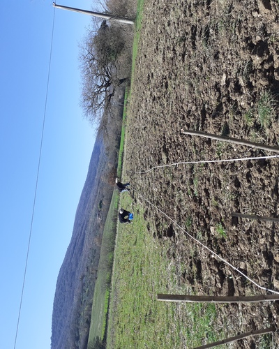 Descrizione dell'immagine